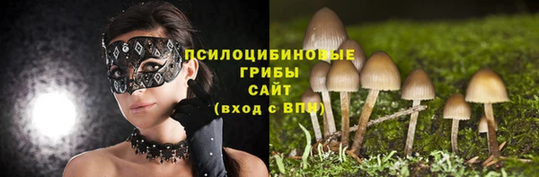 PSILOCYBIN Володарск