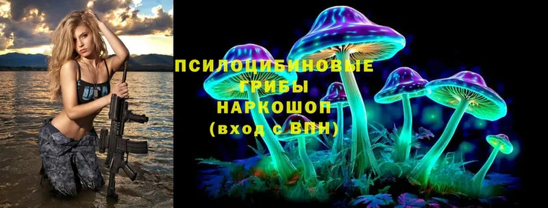 Галлюциногенные грибы MAGIC MUSHROOMS  Уссурийск 